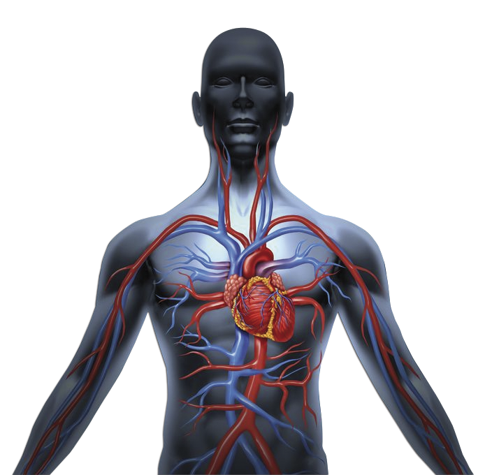 Cómo funciona el prgf